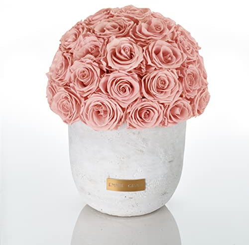 Solid Infinity Collection - Traumhafte Infinity Rosen, 1-3 Jahre haltbare Rosen, Betonvase mit echten, konservierten Rosen, edle Premiumrosen - Größe L (Antique Pink)