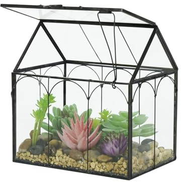 LIMOR 6 House-Shaped Succulent Glass Terrarium, Ideal for Gifting | Lead-Free Ultra-Clear Glass Brass Frame, House-Shaped Swing Lid, Tabletop DIY Succulent Decor, Ideal Gift for Plant Lovers