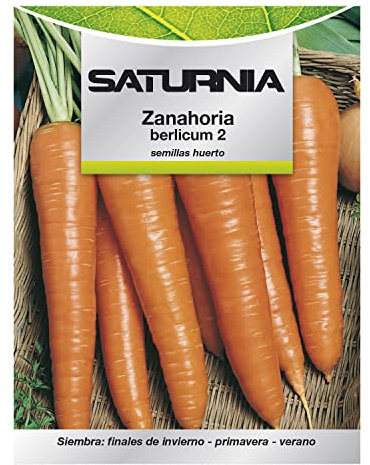 SATURNIA Semillas Huerto Zanahoria Berlicum, 8093650