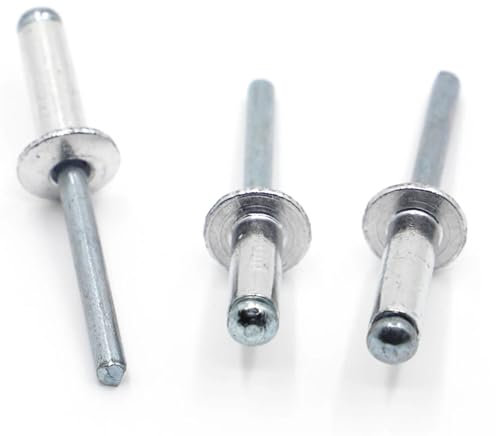 10/20 Stück M2,4 M3,2 M4 M5 M6 GB12618 Aluminium Mushroon Kopf Brechdorn Blindnieten Nagel Pop Niete (Size : M6 10pcs, Color : 15mm)