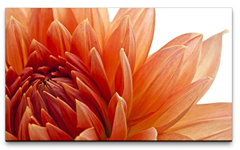 Paul Sinus Art Bilder XXL orange Dahlien Blüte 120x70cm Wandbild auf Leinwand