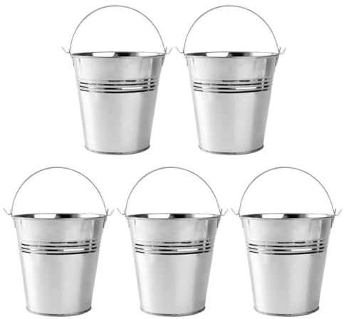 Luxshiny Small Metal Bucket 5pcs French Fries Tin Pails Ice Chip Fry Serving Bucket Metal Plant Pot Wine Beverage Chiller Mini Tinplate Bucket