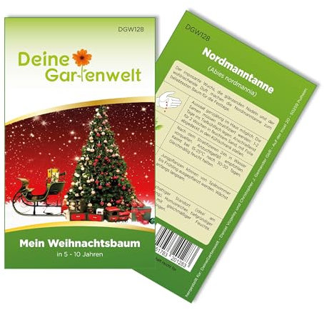 Tannenbaum Samen - Nordmanntanne selbst pflanzen - Weihnachtsbaumsamen - Saatgut für 5 Pflanzen