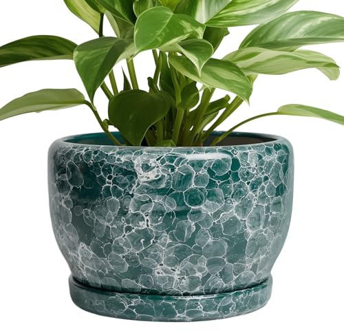 SQOWL 8 Inch Plant Pot - Ceramic Planter for Indoor Plants, Decorative Flower Pot with Drainage Hole and Saucer, Round Planter Outdoor, Room Patio Decor, Garden Gifts for Women, Green