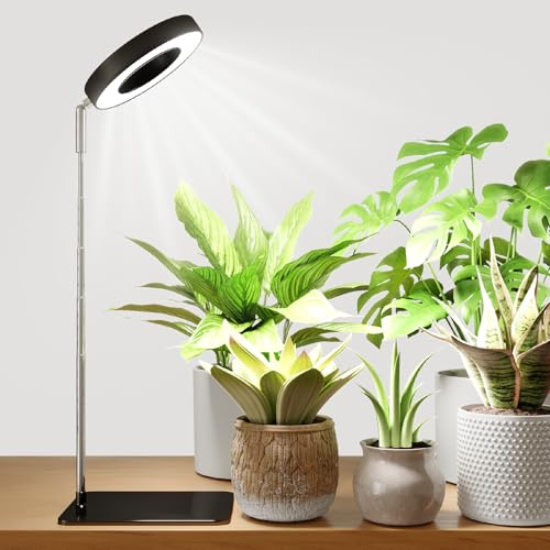 Bamworld luz crecimiento plantas interior LED espectro completo 8W con base luces de crecimiento para plantas anillo altura ajustable escritorio grow light luz para plantas interior