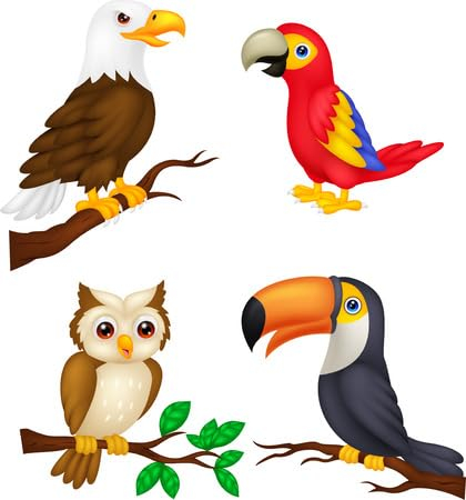 adrium Acryl-Bild 90 x 100 cm: Vogel-Cartoon-Sammlung (30329094)