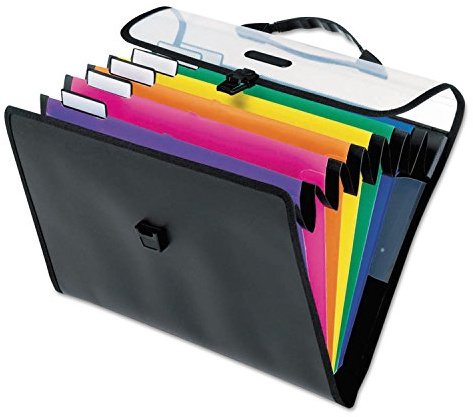 Pendaflex Hanging Organizer, All-in-1 Wall Organizer/Pocket Chart, Black with Bright Color Folders, Poly Carry Case, Letter Size (52891), Black/Assorted