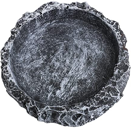 Slate Reptile Basking Rock Platform Reptile Feeding Water Dish Food Bowl