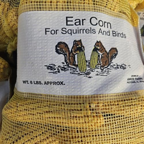 8 lb Bag of Ear Corn for Deer, Rabbits, Squirrels