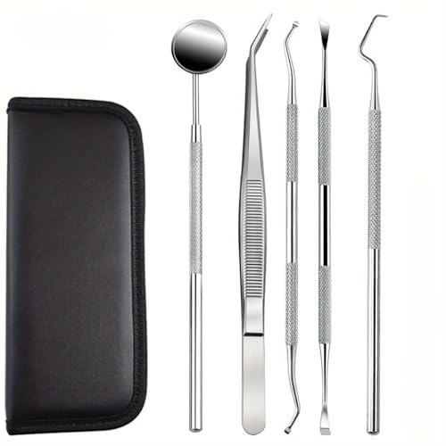 Tooth Polisher & Teeth Cleaner, Plaque Remover for Teeth, Teeth Tartar Remover, Dental Stain Remover Tool, Oral Cleaning Kit Metal (Silver)