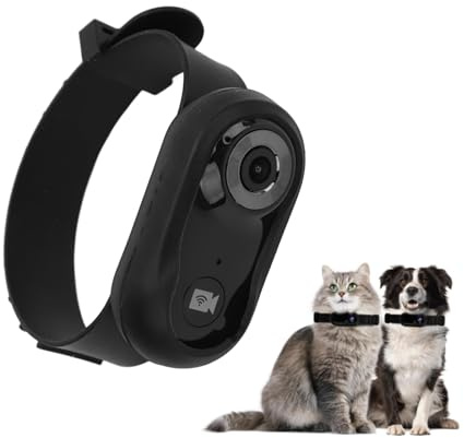 Bewinner Katzen Kamera Halsband – 120° Weitwinkel Sportkamera mit LCD-Bildschirm und 8 GB Speicherkarte, HD 1080P Multifunktionaler Haustier Katzen Tracker für Videoaufzeichnung