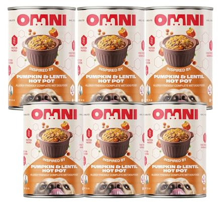 Omni Wet Dog Food for Adult Dogs - Pumpkin & Lentil Hot Pot Hypoallergenic Dog Food Vet-Formulated Rich in Protein with Parsnip, Broccoli and Sage - Gut Friendly, Soya and Gluten Free, Pack of 6