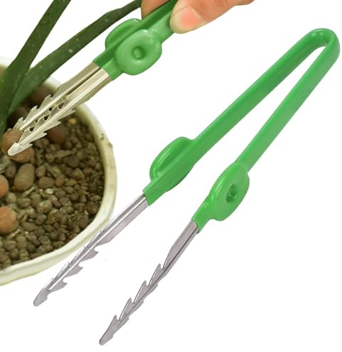 Herramientas de pinzas para suculentas,Pinzas rectas multiusos con punta dentada | Alicates de precisión profesional para trabajos industriales, laboratorio, jardinería, cocina