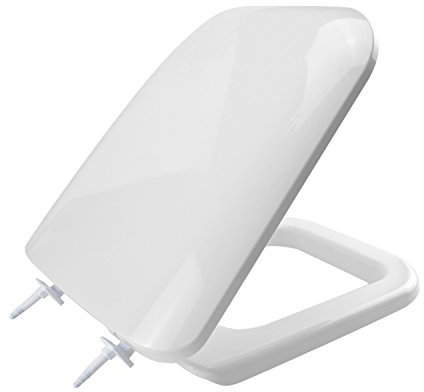 Saniplast 2FSE192402 Sedile WC, Resina Termoindurente, Bianco, 45x35x6.5 cm