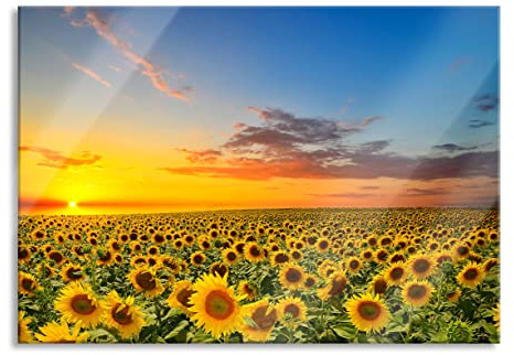 Pixxprint Glasbild, Wandbild aus Echtglas, Sonnenuntergang Sonnenblumen, 100x70 cm, inkl. Aufhängung und Abstandshalter