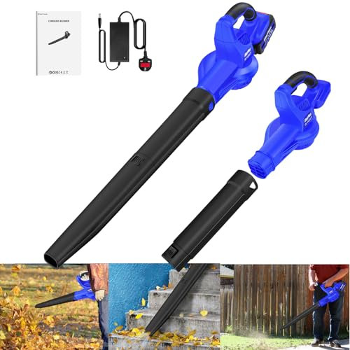 Souffleur et aspirateur feuilles à batterie, 300 W, avec batterie et chargeur, souffleur de jardin pour feuilles de jardin, copeaux de bois, nettoyage de la poussière dans les coins