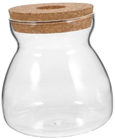 ORFOFE Vase Terrarium Verre Transparent Récipient pour Micro-Paysage Et Plantes De Terrarium pour Créer Un Écosystème