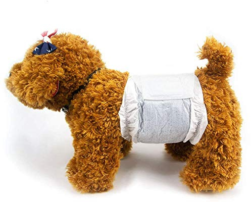 Dono Pannolini per Cani Maschi XS, 26 Pezzi con Carbone Attivo