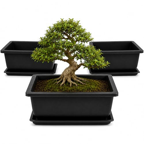 Vasi bonsai - 3 vasi per bonsai con vassoi per l'umidità per piante da interno - Vasi bonsai con vassoio di drenaggio e rete integrata - Vaso per bonsai in plastica resistente con fori di irrigazione