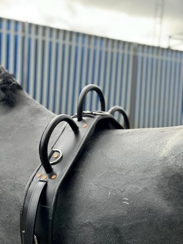 Equipride Leder Voltigiergurt mit Gurt, voll verstellbar, Schwarz (Pony)