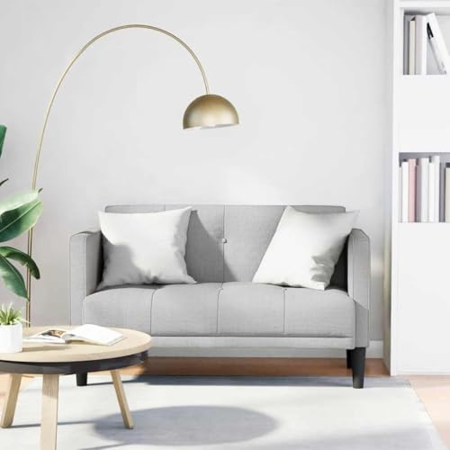 Divano 2 posti, divano due posti lounge in tessuto grigio nuvola 111 cm per chiacchierare, leggere, guardare la TV, divano relax per soggiorno, ufficio, lounge