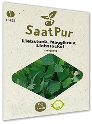 SaatPur Liebstöckel Samen, Maggikraut samenfestes Samen Saatgut für ca. 80 Pflanzen Kräutersamen