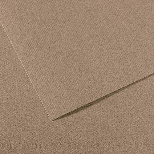 Canson Mi-Teintes Papel de Color de Pulpa Teñida, 160 g/m2, Gris (Steel Grey - 431), 29,7x61, Pack de 10