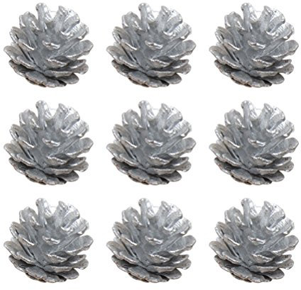 TOYMYTOY Tannenzapfen Naturzapfen Kiefernzapfen mit String Adventsdeko Weihnachten Hängende Deko 4cm 9 Stück (Silber)