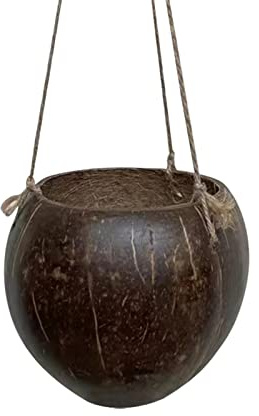 mildily Cesta para plantas de Hangings, maceta de colgantes naturales, cáscara de coco natural ecológica, macetero de colgantes cuidadosamente procesado, para helechos Pothos hiedra suculenta