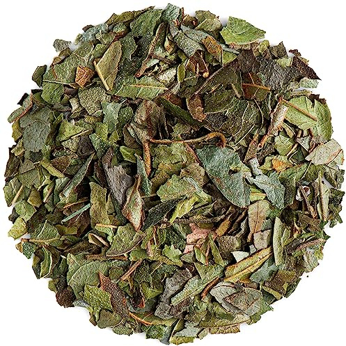 Boldo Hoja Ecológica en Tisana - Peumus Boldus - Hierba Sudamericana