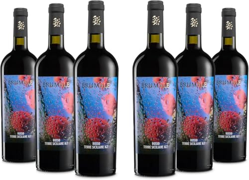 Brumale Rotwein Terre Siciliane IGT, Voller und Abgerundeter Geschmack und Bouquet mit Kirschnote, 12 % Vol., Karton mit 6 Flaschen mit jeweils 750 ml