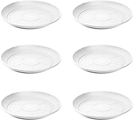 Acan Tradineur - Pack de 6 Platos de plástico para macetas de 20/25 cm Mediterránea, bandejas, platillos, bajoplatos Redondos para tiestos de Interior, Exterior, jardín, terraza, balcón (Blanco)