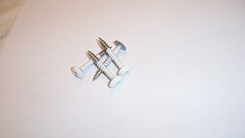 nes Fassadenschrauben/Fassadenplattenschrauben 100 Stück 4,8 x 38 mm, V2A Edelstahl mit T20 Antrieb, weiß (ähnlich RAL 9010), Flachkopf, inc. 1 Bit je 100 Packung