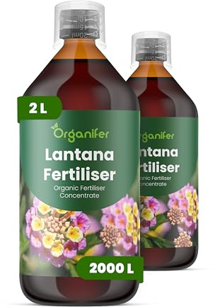 Engrais liquide organique 2x1L pour Lantana – plantes robustes et racines fortes – Organifer