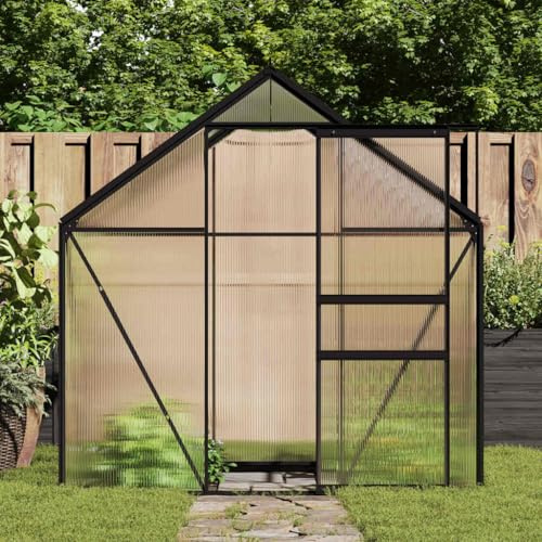 Treibhaus Pflanzenschutz Winter Zelt,Gewächshaus mit Fundament Anthrazit Aluminium 3,61 m²,Gartengewächshaus für Blumen & Pflanzen