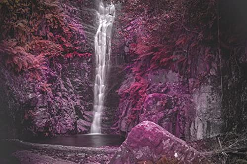 YINGXIN88 Puzzles für Erwachsene 2000 Teile - schöner Wasserfall - 2000 Teile Puzzles für Erwachsene und Kinder Lernspiele Heimdekoration Buntes Puzzle - 70 x 100 cm