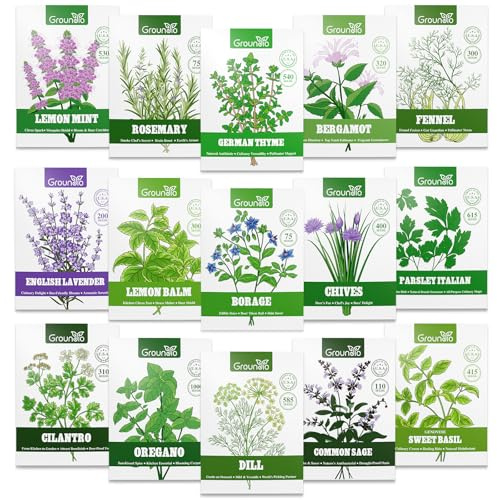 Groundio 15 Basil Seeds, Lavender Seeds, and More Seeds Variety Pack | 5,500+ Non-GMO Heirloom Seeds for Planting Indoor & Outdoor | Culinary Collection | Grow Your Own Garden | Gardening Gift