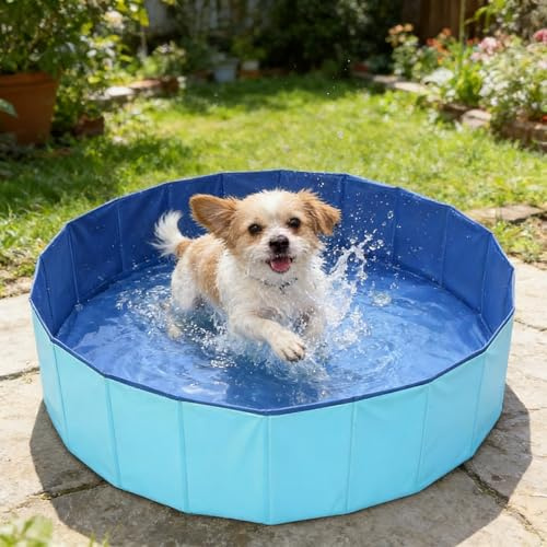 Doukesh Piscina Pieghevole per Cani e Gatti, Vasca da Bagno in PVC Antiscivolo, 60 x 20CM (L)