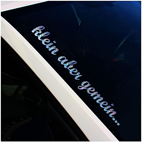 Frontscheibenaufkleber Schriftzug klein aber gemein Aufkleber für Windschutzscheibe Heckscheibe Auto Fahrzeug Dekor Sticker Frontscheibe FS101 (Flakes Silber, Außenklebend)