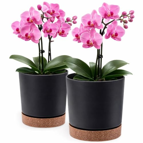PECZEKO Blumentopf matt, Pflanzkübel aus Übertopf Kunststoff Dekorativer Topf für, groß und klein Pflanzen, 2er-Set blumenkübel, blumenkübel kräutertopf (2 Pack) Anthrazit, ø 30 cm
