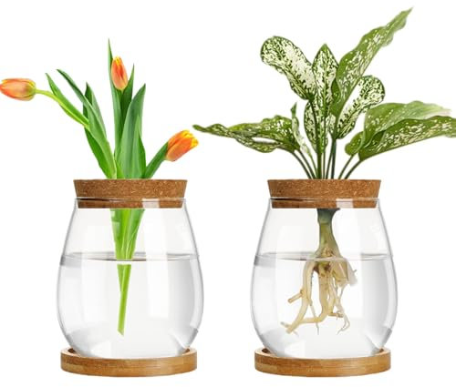Hniuyun Propagation Station, Desktop Plant Terrarium Glass Vase with Wooden Tray & Lid for Propagating Hydroponic Plants Centerpiece Office Home Decor, 2 Pcs