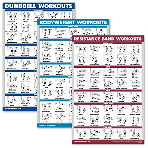 Palace Learning 3 Pack - Dumbbell Workouts + Bodyweight Exercises + Resistance Bands Poster Set - Set of 3 Workout Charts