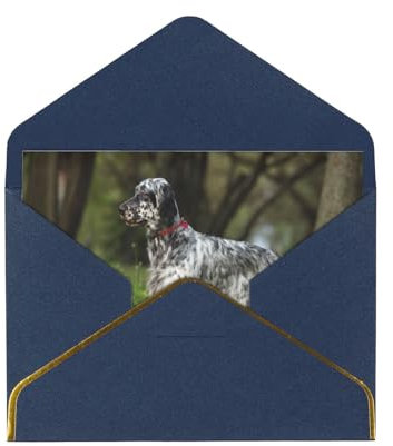 FUkker Grußkarten, Karten mit Umschlägen, perlmuttfarbene Papier-Weihnachtskarten, Dankeskarten, Englischer Setter, Rasen, Haustiere, Hunde, Englischer Setter