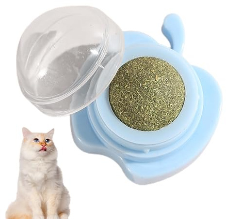 Boule murale en herbe à chat, support pour boule d'herbe à chat - Jouet à mâcher pour chat pour nettoyage des dents, décoration murale pour chat, chaton jouant à mâcher, nettoyage des dents