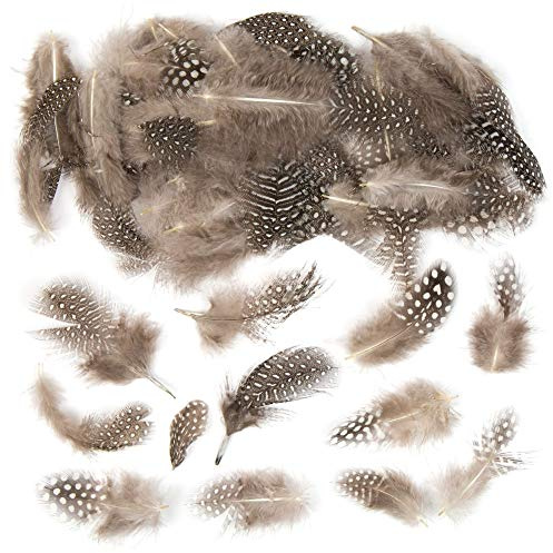 Natural Feathers (Pack of 120)