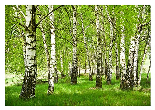 WallArena Vlies Fototapete, 208x146cm | Fototapeten - Tapeten - für Wohnzimmer Schlafzimmer - Vliestapete Wandtapete Tapete 3D Effekt- inkl. Kleister