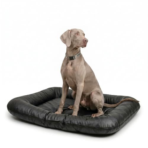 4L Textil Hundebett Kunstleder Hundematratze Hundekissen große Hunde | Wasserabweisend | Abwischbar | Robust