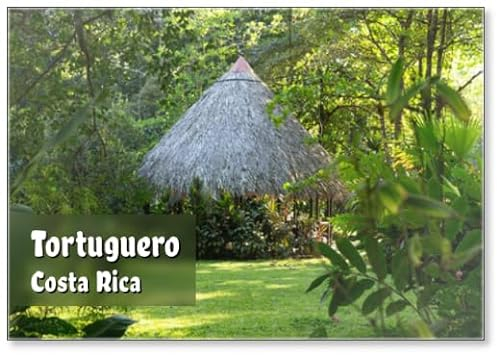 Small Circular Pavilion with Thatched Pointed Roof Seen in Lush Tropical Garden, Tortuguero, Costa Rica Fridge Magnet