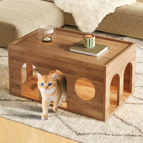 Mesa de centro de nogal apta para mascotas, con agujeros para gatos, 80 x 50 x 40 cm, acabado de nogal natural, perfecta para salas de estar modernas e interacción entre personas y animales