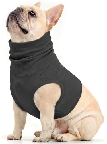 PUMYPOREITY Body Post Operatorio Cane, Maglietta Protezione Orecchie Cani Body Chirurgico Bendaggi Collo Ferite Fascia Ematoma all'orecchio (Grigio, M)